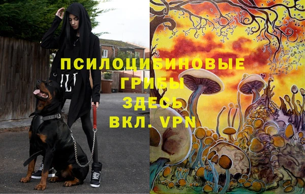 таблы Арсеньев