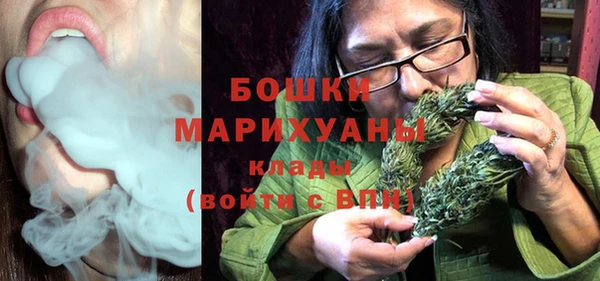 spice Аркадак