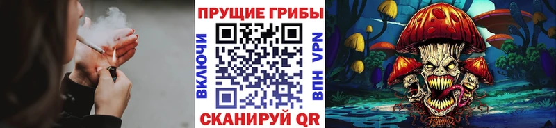 Галлюциногенные грибы GOLDEN TEACHER  сколько стоит  Подпорожье 