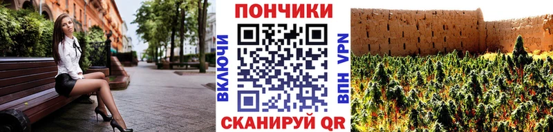 Каннабис план  Подпорожье 